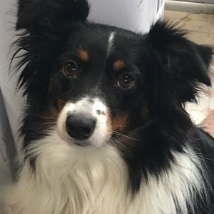 Meet your Posher, Teri